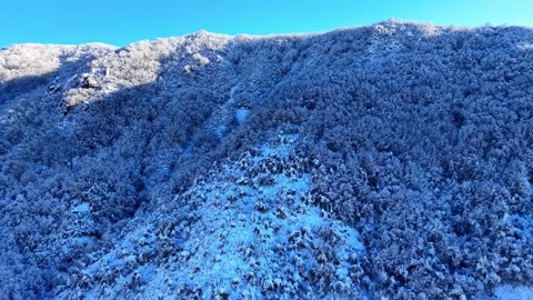 Stunning Drone Shot Moving Toward Snow Covered Mountain and Icy Forest Video stock 335314424