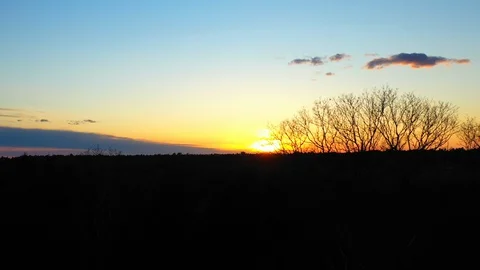 Stunning drone tracking at sunset atop bare oak trees Stock Footage 128832526