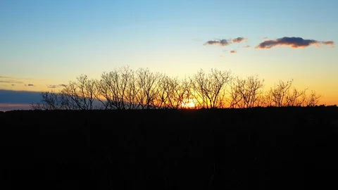 Stunning drone tracking at sunset atop bare oak trees Stock Footage 128968226
