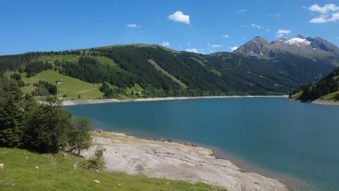Stunning Drone View of a Serene Alpine Lake and Grazing Cows in the Austria.. Stock Footage 314902813