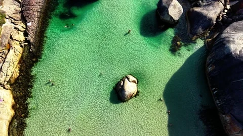 Stunning Elephant Rocks Beach of William Bay National Park with turquoise Water Video stock 329801340