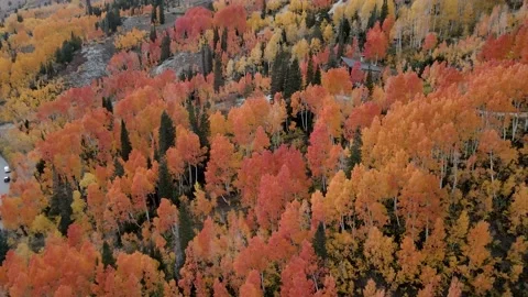 Stunning Fall Colors over Alta Ski Resort Stock Footage 221381088