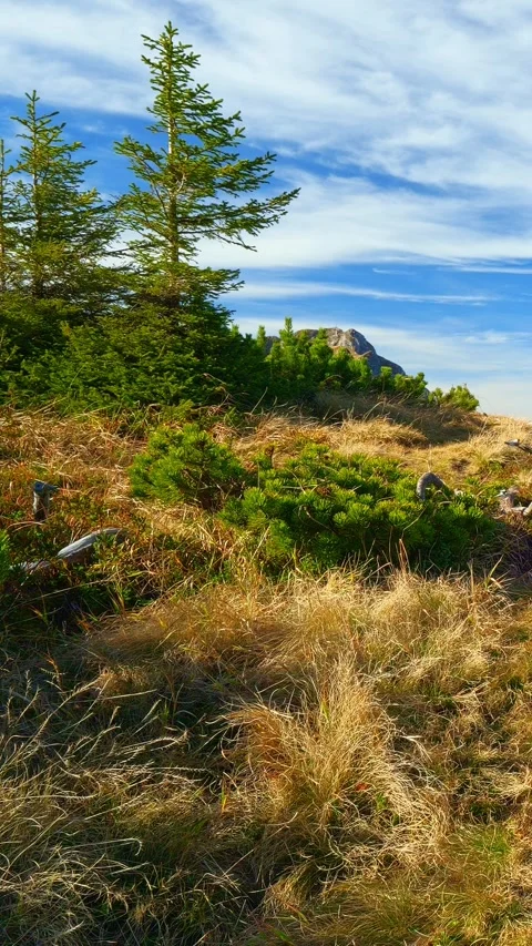 Stunning Fall Landscape with Clear Skies and Snow-Capped Peaks in the Austria Stock Footage 308297002