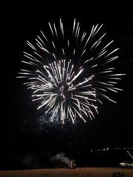 Stunning firework display illuminating the night sky.  Perfect for celebrat.. Foto stock
