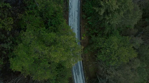 Stunning flying shot on beautiful empty road Stock Footage 188169866