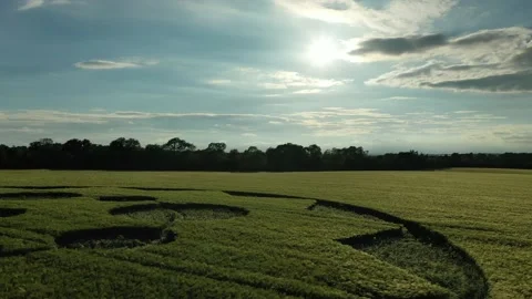 Stunning Geometric Crop Circle 4K Very Low right to left 8th June 2021 Stock Footage 155594935