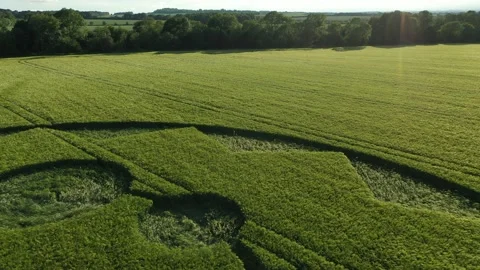 Stunning Geometric Crop Circle 4K Sunset Drone footage, 8th June 2021 Stock-Footage 155599344