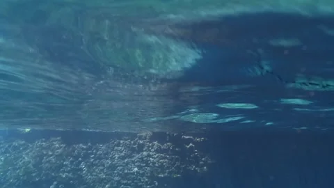 Stunning half underwater limestone cave with deep blue ocean, slow motion 動画素材 279431952