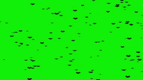 Stunning hearts with natural motion isolated on chroma key green screen Stock-Footage 337047324