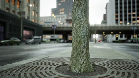 Stunning hyper lapse of downtown area Видео 219802960