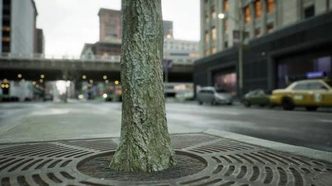 Stunning hyper lapse of downtown area Stock Illustration