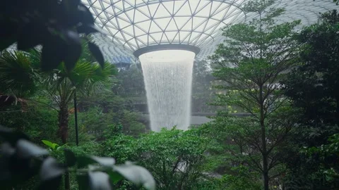 Stunning Indoor Waterfall Surrounded by Lush Greenery Stock Footage 314616257