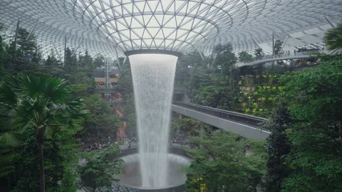 Stunning Indoor Waterfall Surrounded by Lush Greenery Stock Footage 314616260