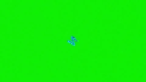 Stunning insect with flying, crawling motion isolated on chroma key green Stock Footage 337047359