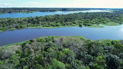 Stunning landscape of Amazon Forest at Amazonas State Brazil. Stock Footage 197913833
