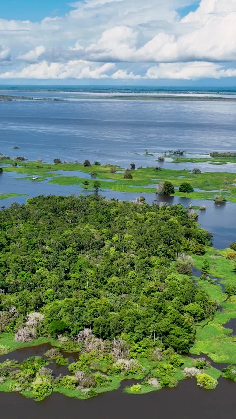 Stunning landscape of Amazon Forest at Amazonas State Brazil. Stock Footage 335716865