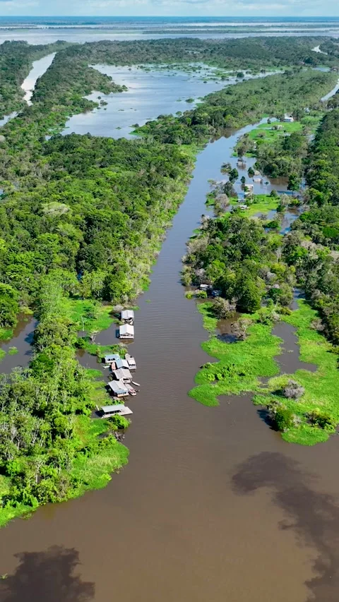 Stunning landscape of Amazon Forest at Amazonas State Brazil. Stock Footage 340518291