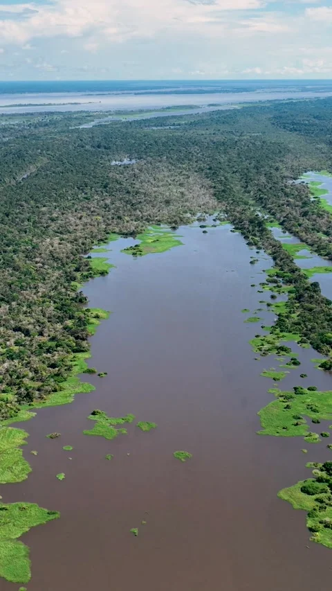 Stunning landscape of Amazon Forest at Amazonas State Brazil. Stock Footage 340519357