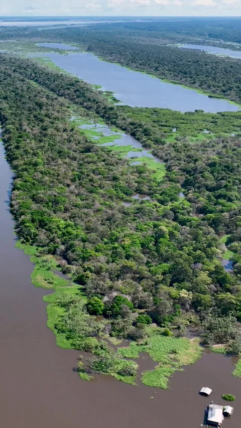 Stunning landscape of Amazon Forest at Amazonas State Brazil. Stock Footage 340636464