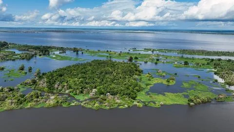 Stunning landscape of Amazon Forest at Amazonas State Brazil. Stock Photos