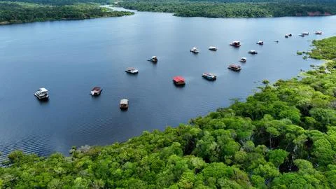 Stunning landscape of Amazon Forest at Amazonas State Brazil. Stock Photos
