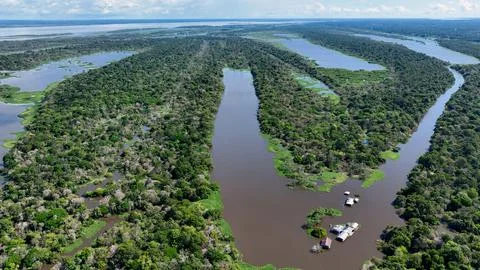Stunning landscape of Amazon Forest at Amazonas State Brazil. Stock Photos