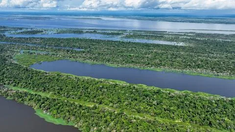 Stunning landscape of Amazon Forest at Amazonas State Brazil. Stock Photos