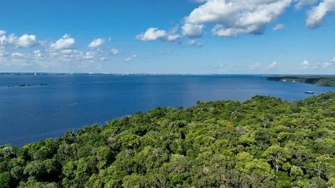 Stunning landscape of Amazon Forest at Amazonas State Brazil. Stock Photos