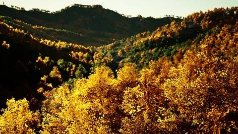 Stunning landscape during fall for September Stock Illustration