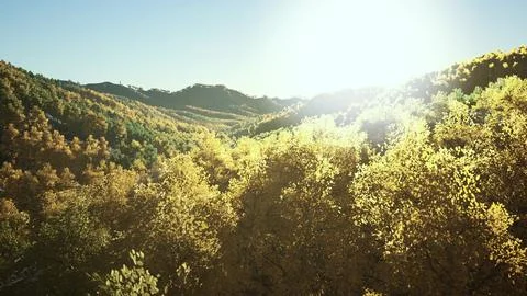 Stunning landscape during fall for September Stock Illustration
