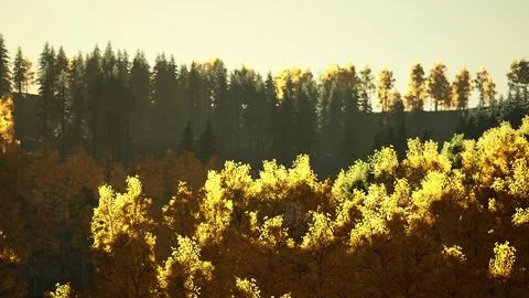Stunning landscape during fall for September Stock Illustration