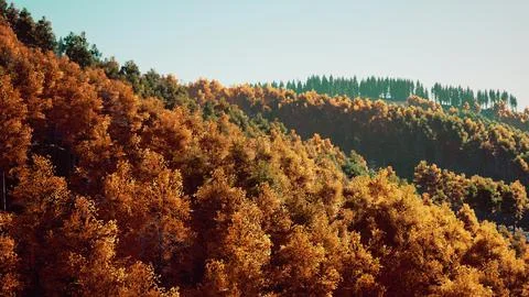 Stunning landscape during fall for September Stock Illustration