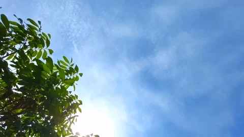 A stunning landscape featuring a bright blue sky. Stock Footage 303255575