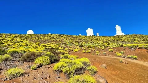 A Stunning Landscape Featuring White Structures, Complemented by Vibrant Yellow Vídeo Stock 311869859