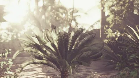 Stunning light illuminating palm tree in tropical paradise Illustrazione stock