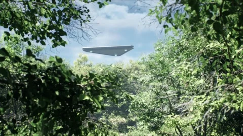 Stunning long shot through the canopy of trees in a forest in the wilderness Vídeos de archivo 311086169