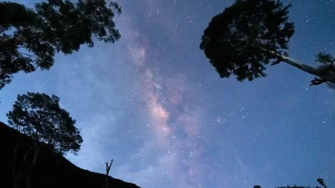 A stunning low-angle time-lapse of the Milky Way galaxy stretching across a clea Vídeos de archivo 274559138