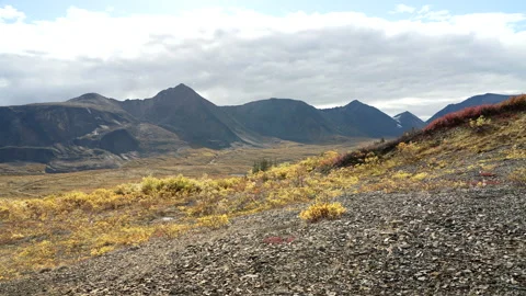 Stunning Mountain Range Autumn scene in northern Canada Stock Footage 162691786