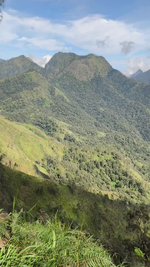 A stunning mountain range with lush tropical forests under blue skies. 库存影片 333497845