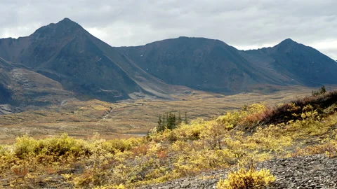 Stunning Mountain Range in northern Canada Stock Footage 162691073