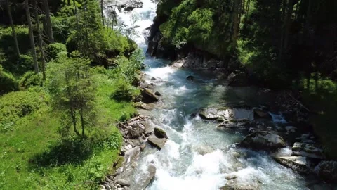 Stunning Mountain River Flowing Through Lush Green Forest in the Austrian A.. Stock Footage 318971460