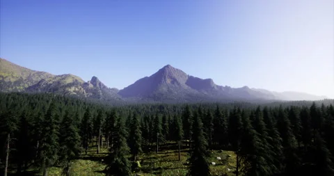 Stunning mountain view with dense forest under clear blue sky in daytime 스톡 동영상 305769227