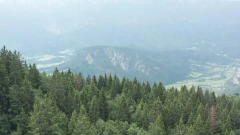 Stunning mountain view over valley and forest in summer 動画素材 320267222