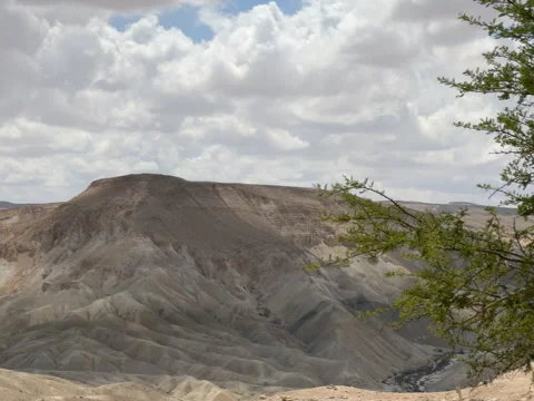 Stunning mountains rise above the seemingly endless Israeli Negev Desert Stock Footage 316616161