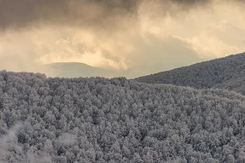 A stunning multi-layered winter mountain panorama featuring frost-covered f.. Stock Photos