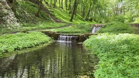 A stunning multi-level waterfall in a green dense forest Stock Footage 312633914
