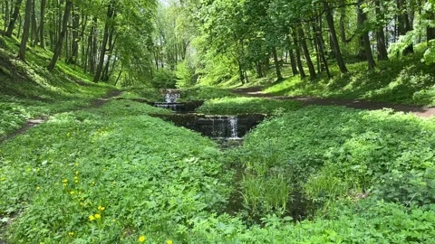 A stunning multi-level waterfall in a green dense forest Stock Footage 312932803