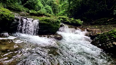 Stunning nature background of a tropical stream in a rainforest Stock Footage 336933413