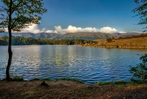 Stunning nature composition. Stock Photos