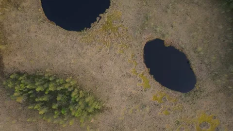 Stunning nature of the Scandinavian countries: bogs and forests, northern Stockbeeldmateriaal 312260261